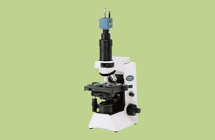 観察には、オリンパス製の位相差顕微鏡を使用。