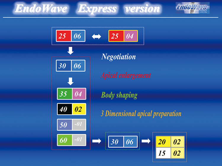“EndoWave Express version”フロ－チャ－ト。