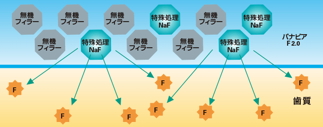 フッ素徐放のメカニズムの図