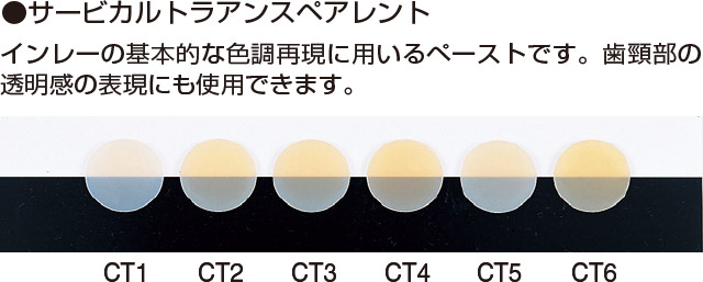 サービカルトランスペアレントの色調の写真