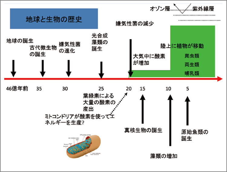 歯周病菌の歴史