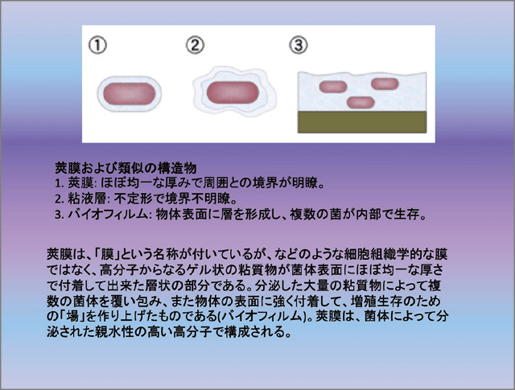 グラム陰性菌に見られる莢膜は細菌のおかれた環境によって様々な形態に変化する。複数の微生物が共同体を形成するバイオフィルムでは全体が粘膜層に包まれ、その中で細菌が生存する。