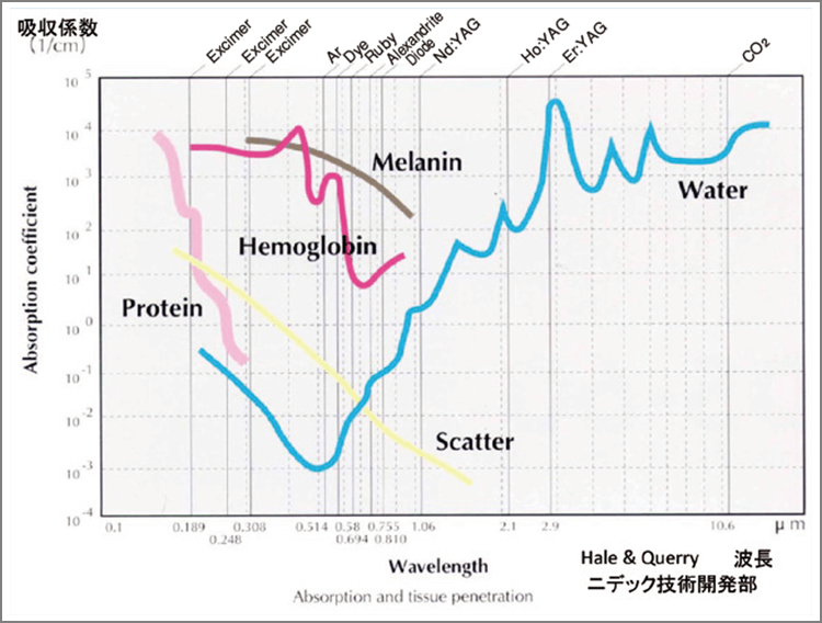 レーザーの波長によって反応する物質が異なる。Er:YAGレーザーは水に強く反応する。