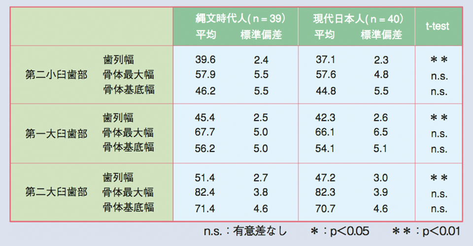 表1 縄文時代人と現代日本人の歯列幅と骨体部幅の比較（mm）