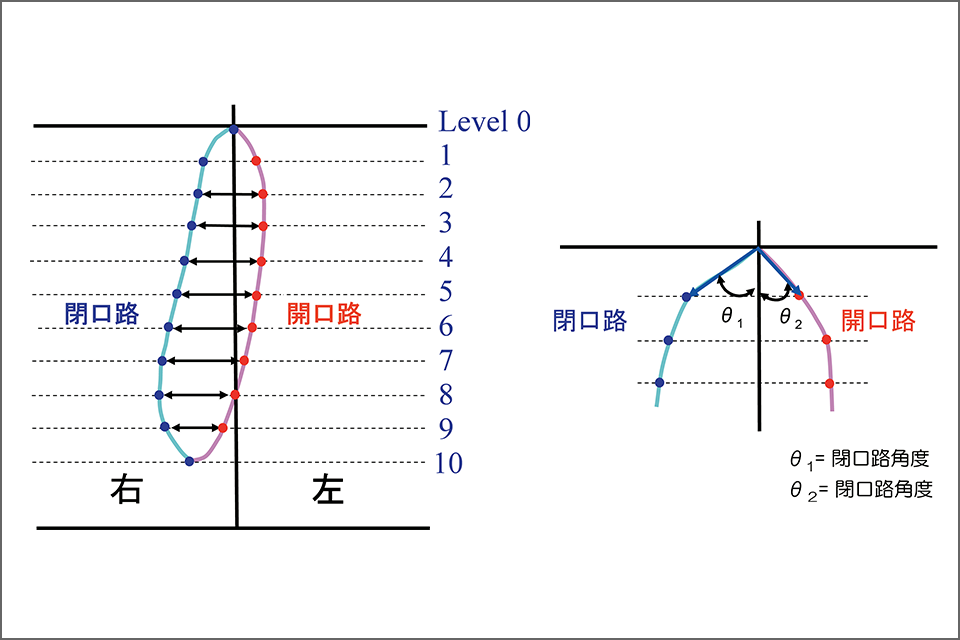 図9 咀嚼経路幅と咀嚼閉口路角度の解析