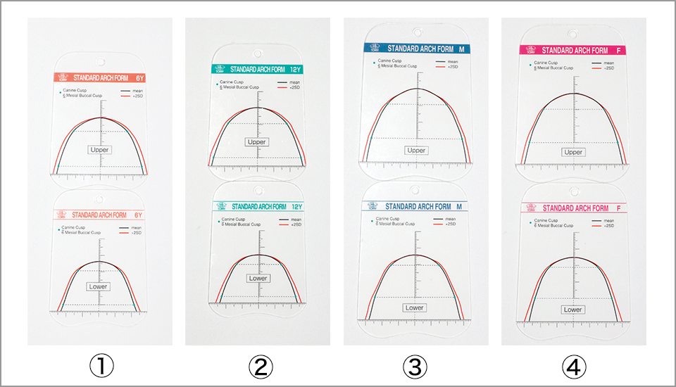 図13 日本人標準歯列弓テンプレート ①６歳用 ②12歳用 ③成人男性用 ④成人女性用
