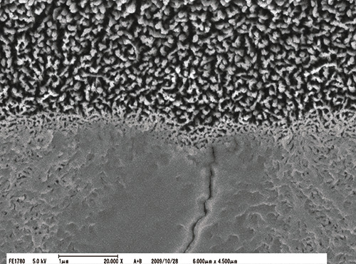 ハイブリッドコートⅡと正常象牙質との接合界面の強拡大像（ｘ20,000）