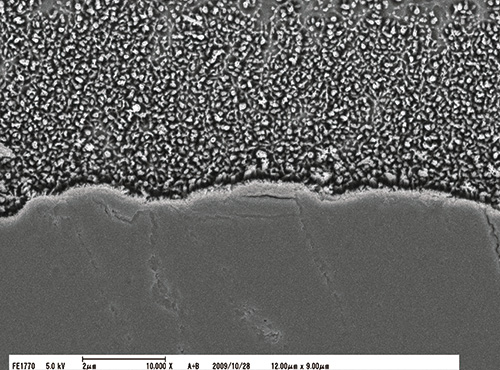 リン酸処理を行っていないエナメル質と硬化したハイブリッドコートⅡとの接合界面の強拡大像（ｘ20,000）