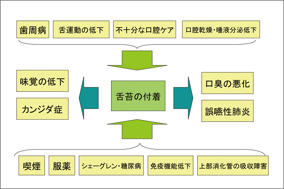 図4　舌苔は口腔と全身状態のマーカー