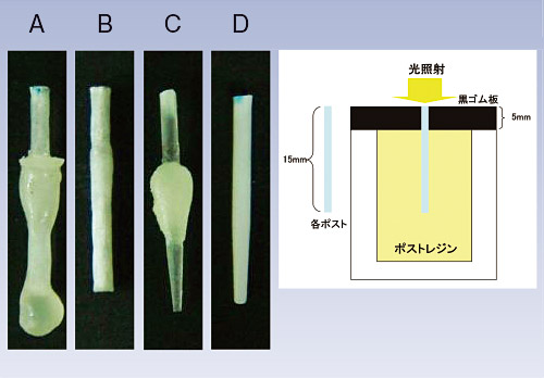 「i‑TFC光ファイバーポスト」断面から光照射するとその高い光透過性により同ポスト先端部周辺のポストレジンが重合硬化している