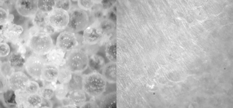 プロビスタのポリマー粒子（左側）と研磨面（右側）＜光学顕微鏡像×500倍＞。