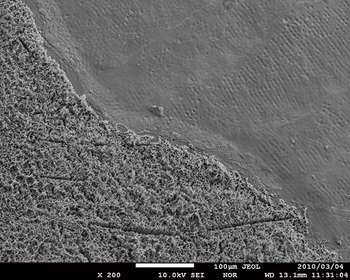 デントレックスで洗浄したエナメル質スラブの二次電子像（倍率× 200）