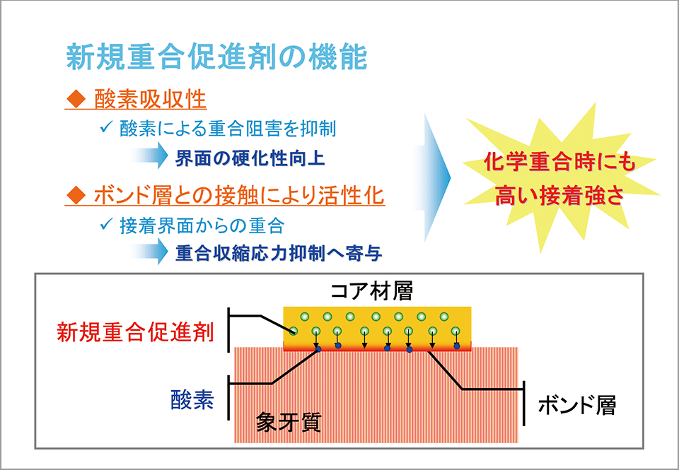 図14 DCコア AM ONEに導入された新規重合促進剤の機能の概念図