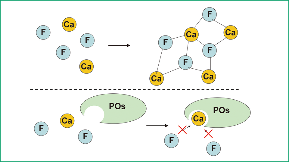 図1 POs‑Caのカルシウム安定化技術 カルシウムとフッ素との反応によるフッ化カルシウムの形成が抑制される