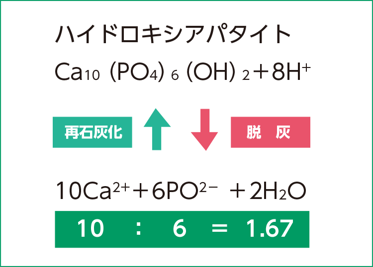 図3 ハイドロキシアパタイトの分解と合成ハイドロキシアパタイトはカルシウムとリンの比が1.67 となっている