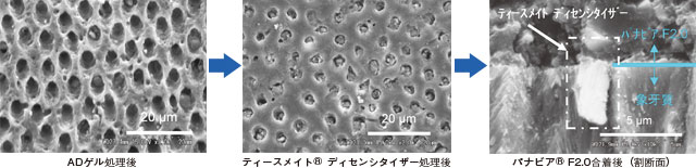 ADゲル処理面及びパナビア®F2.0で合着後の割断面の写真