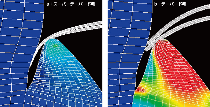 歯周ポケットへ毛先が侵入する際の歯肉ストレスの比較（有限要素法解析）赤くなるほど、ストレスが多い状態 a：スーパーテーパード毛、b：テーパード毛