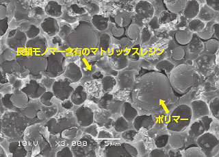 シーラー硬化体の様子