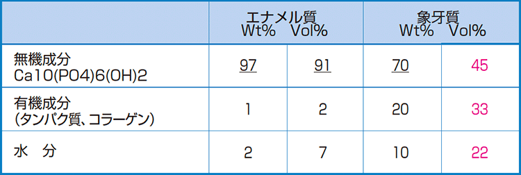 表2　歯質成分と組成比