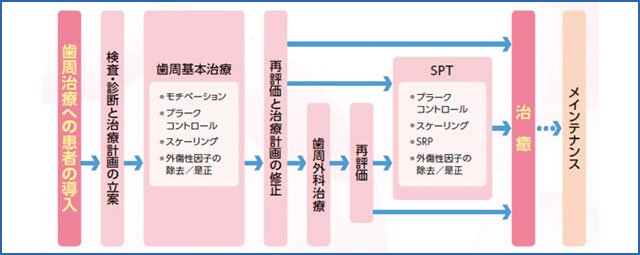 歯周治療の基本的な流れのチャート