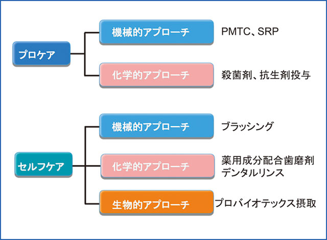 歯周病を予防する3つのアプローチの図