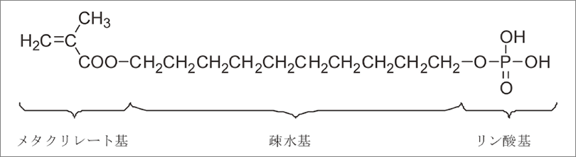 リン酸エステル系モノマー「MDP」の分子構造