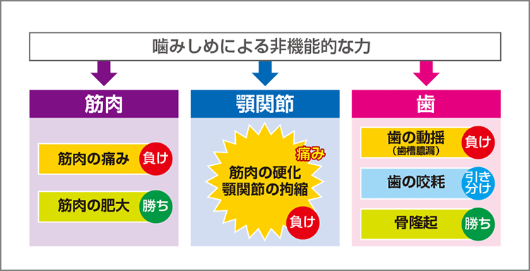 噛みしめが歯や関節、筋肉に与える影響