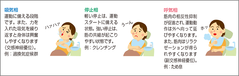 筋力発揮と呼吸の相関（呼吸の三相により異なる影響）