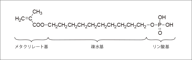 リン酸エステル系モノマー「MDP®」の分子構造の図