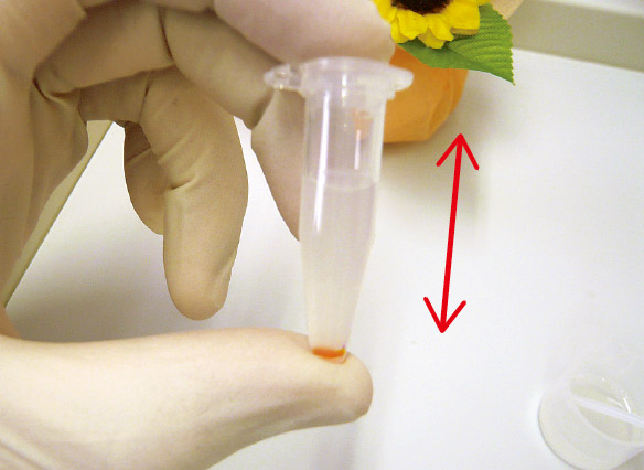 図2-3 テストチューブ内の試薬と唾液をよく混ぜる。