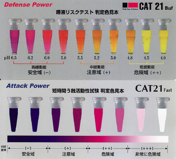 図3 CAT21FastとBufの判定色見本。視覚的でわかりやすい。