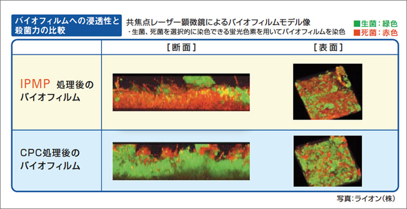 図6 IPMPのバイオフィルムへの浸透効果。殺菌剤IPMPがバイオフィルムの内部まで浸透し殺菌する。
