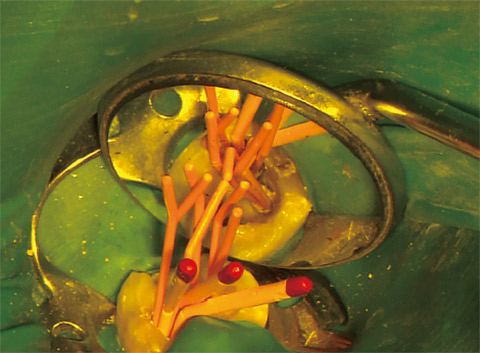 図10