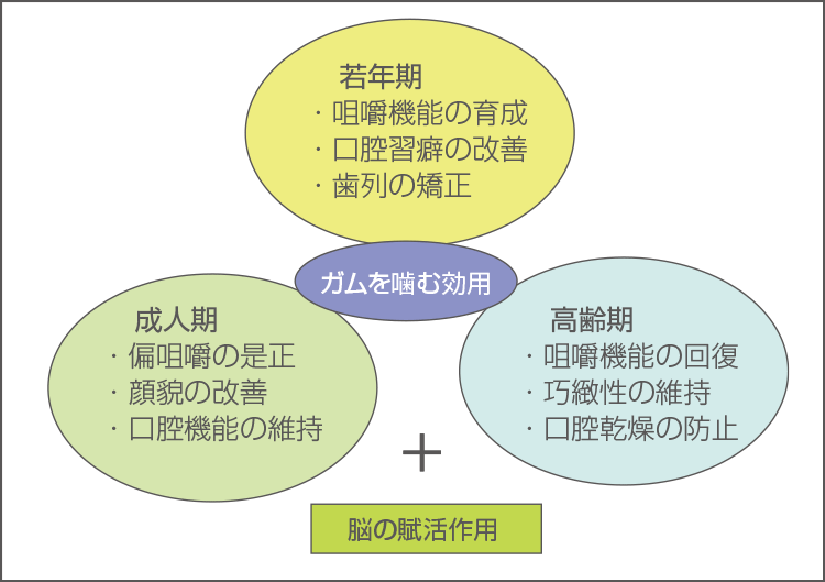 ガムを噛むことによるいろいろな効用（薬理的効用以外）の図