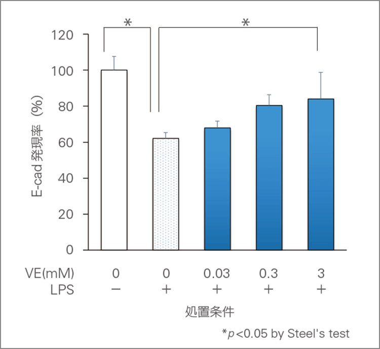 VEのE-cad発現量低下抑制作用のイメージ