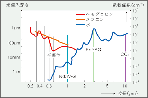 各種レーザーにおける水、ヘモグロビン、メラニンに対する吸収係数