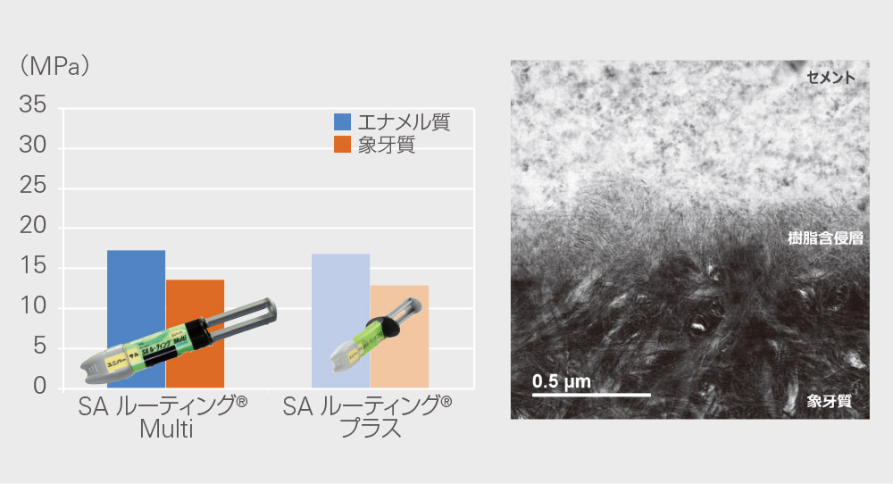 歯質に対するせん断接着試験結果と象牙質接着界面のTEM像