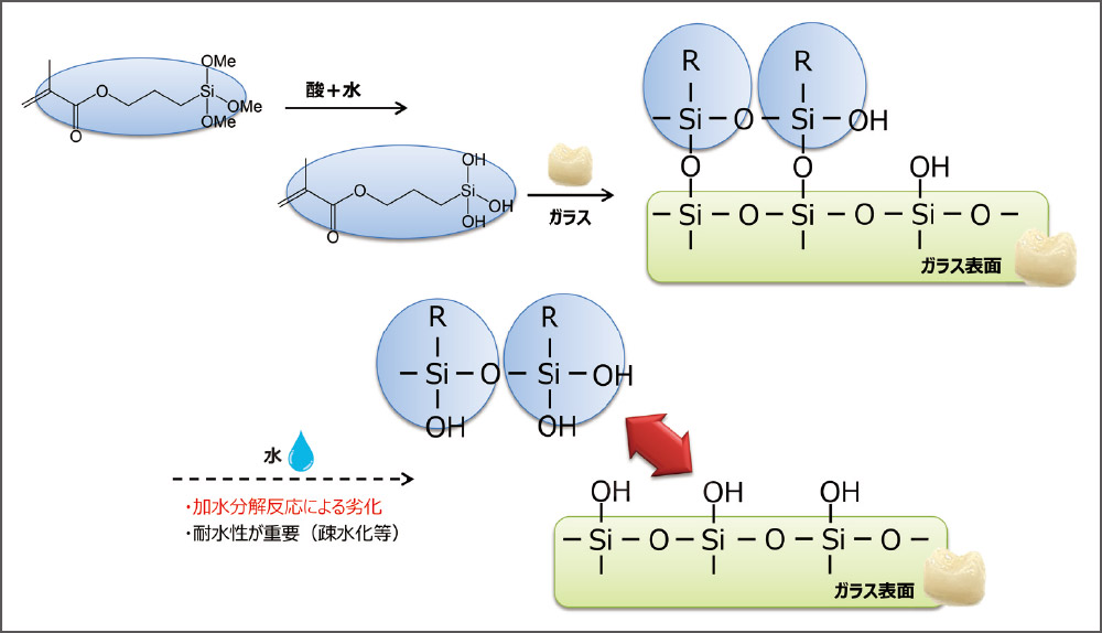 シランカップリング剤とガラス成分の反応の図