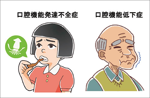 若年者の「口腔機能発達不全症」と高齢者の「口腔機能低下症」の図
