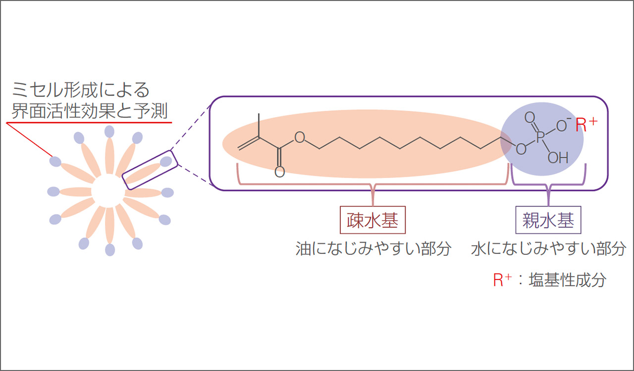 図5　MDP塩の構造