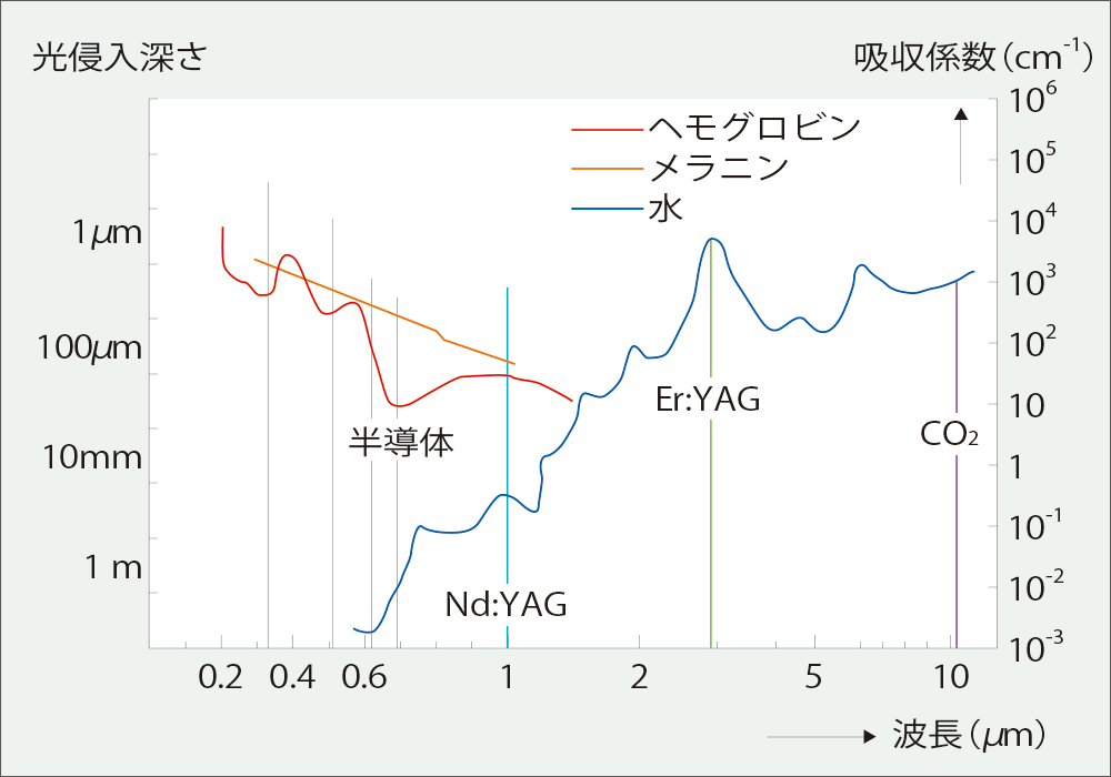 [グラフ] 光侵入深さと波長