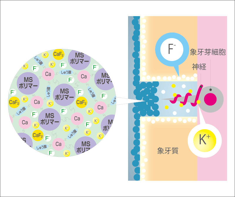 [図] 「MSコート Hysブロックジェル」の作用メカニズム