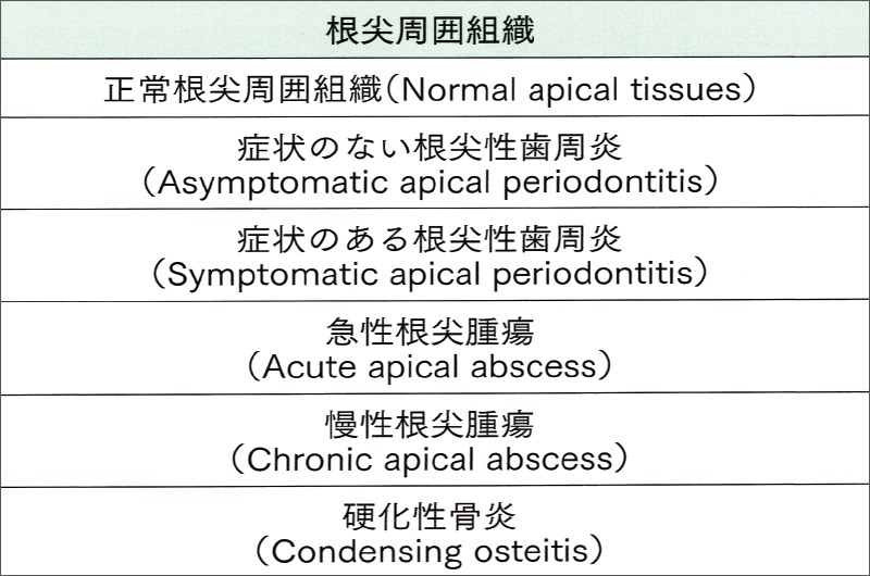 [図] 根尖周囲組織の診断