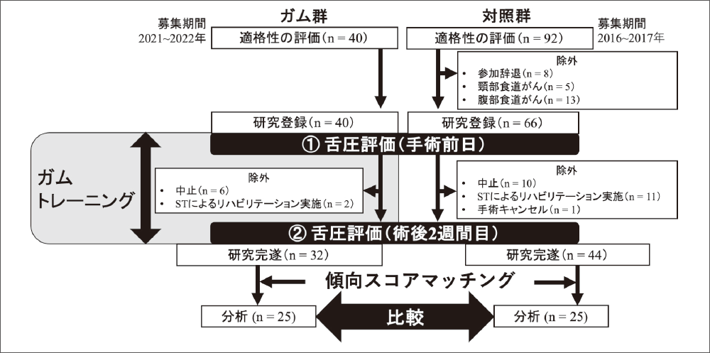 [写真] 研究フローチャート
