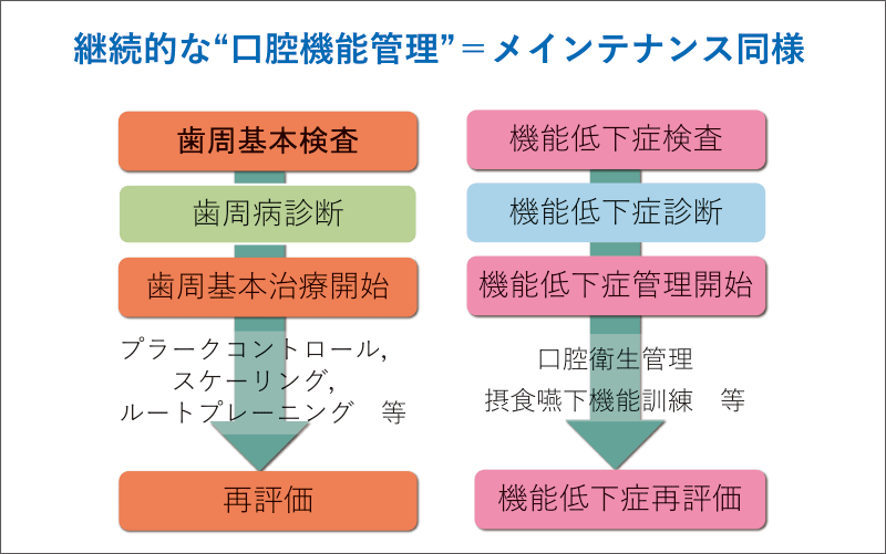 [図] 継続的な口腔機能管理は歯周病のメインテナンスの流れ