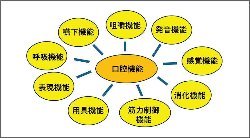 [図] 口腔機能