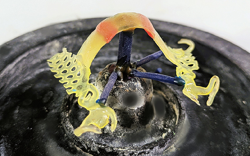 [写真] フレームのスプルーイング