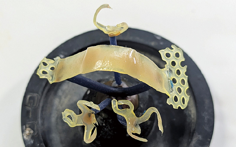 [写真] パターンのスプルーイング