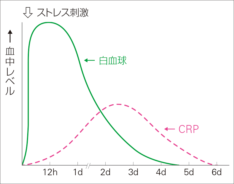 [図] CRPとWBCの経時的変化（イメージ）