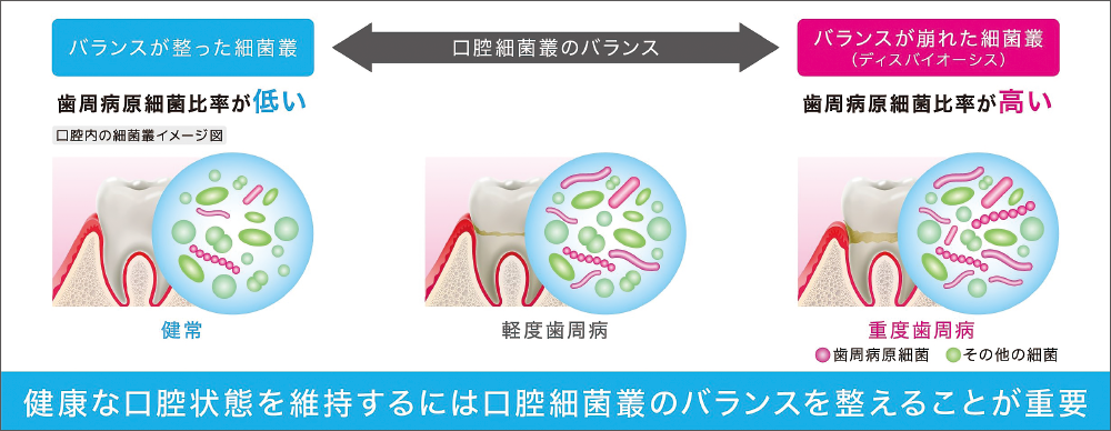 [図] 歯周病と口腔細菌叢の関係